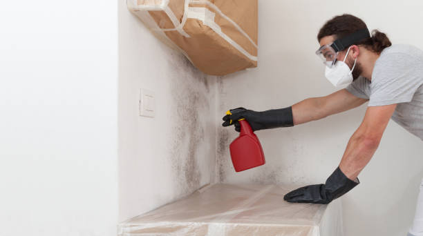 Professional Mold Inspection And Testing technician working in Hathorne, MA
